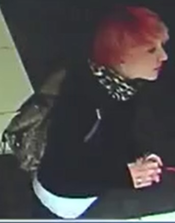 Grab-and-run suspect